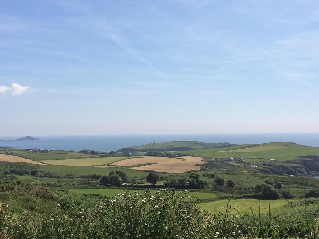 مبيت وإفطار Castlehaven Sandycove House Bed & Breakfast المظهر الخارجي الصورة