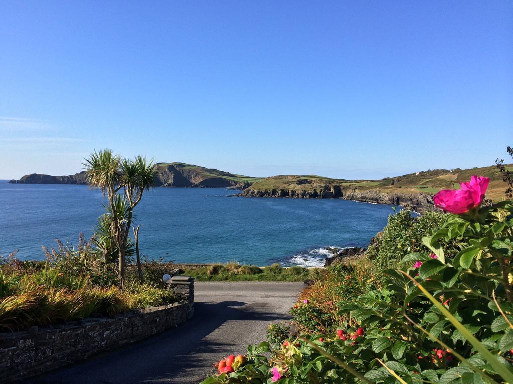 مبيت وإفطار Castlehaven Sandycove House Bed & Breakfast الغرفة الصورة